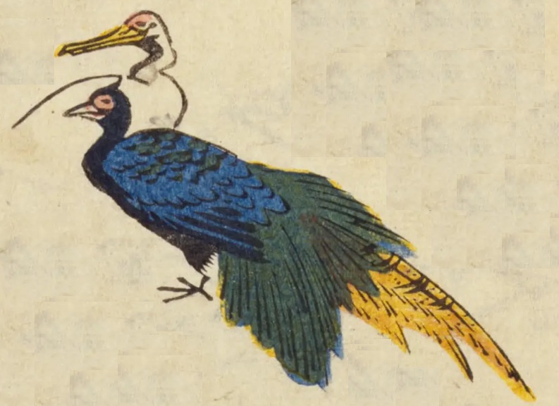 お題の絵。鳥が2羽描かれている。