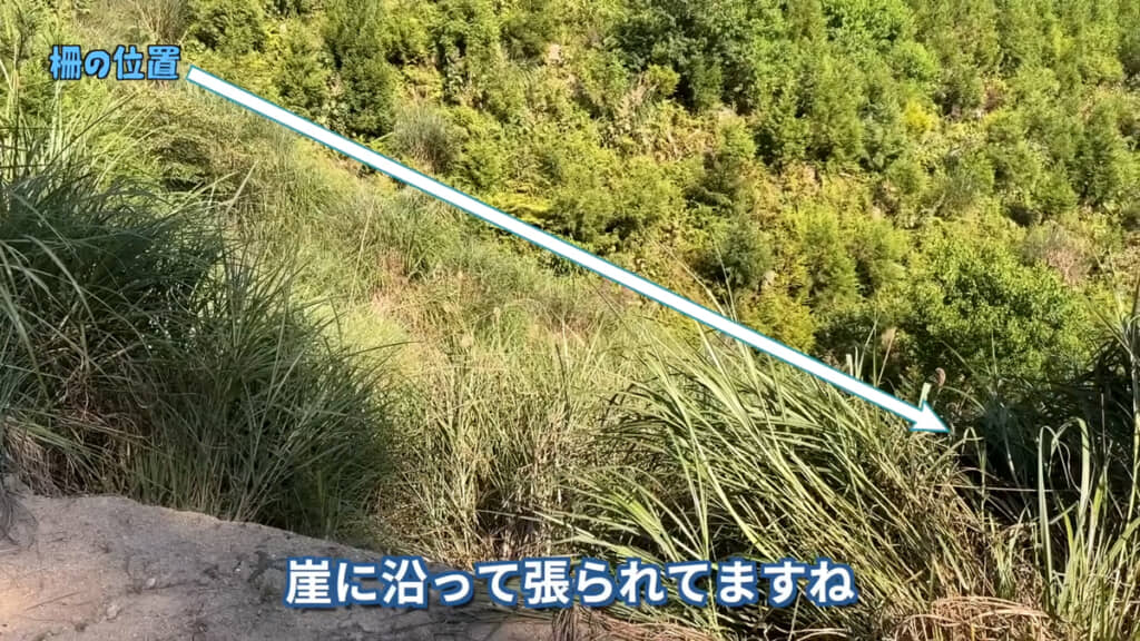 柵の向こうはさまざまな植物が茂っていることが分かります