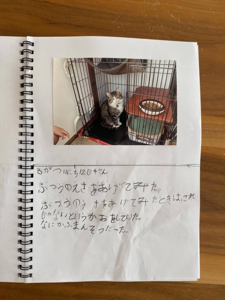 ごはんをあげたときの様子