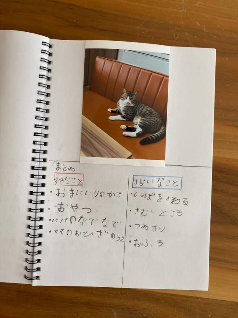 すきなこと、きらいなことまとめ