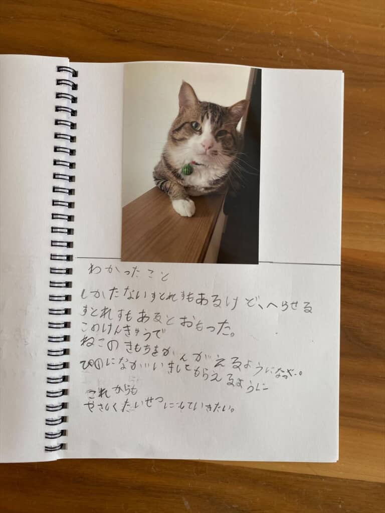 自由研究のまとめ