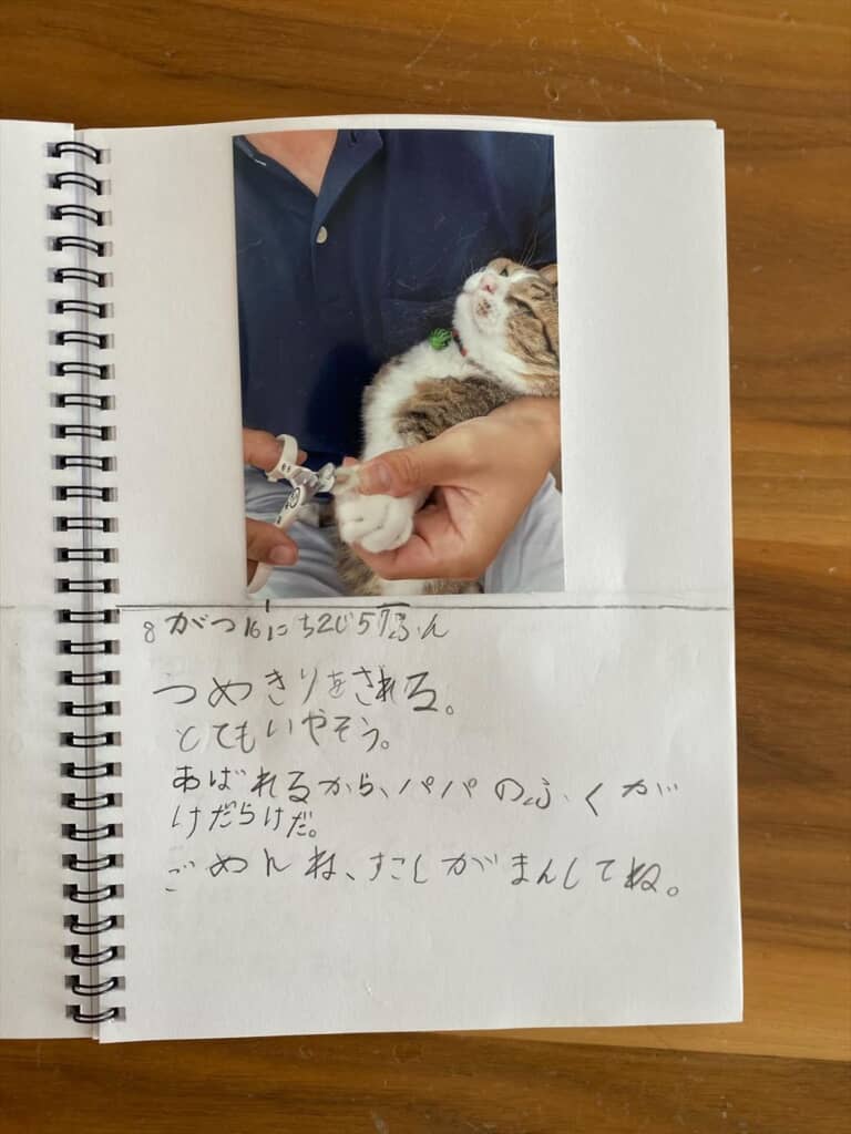 【7/10】爪切りはとても苦手。パパに抱っこされながらも我慢するぴのくんの姿が愛おしい