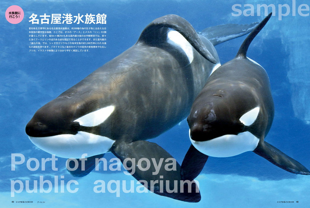 名古屋港水族館