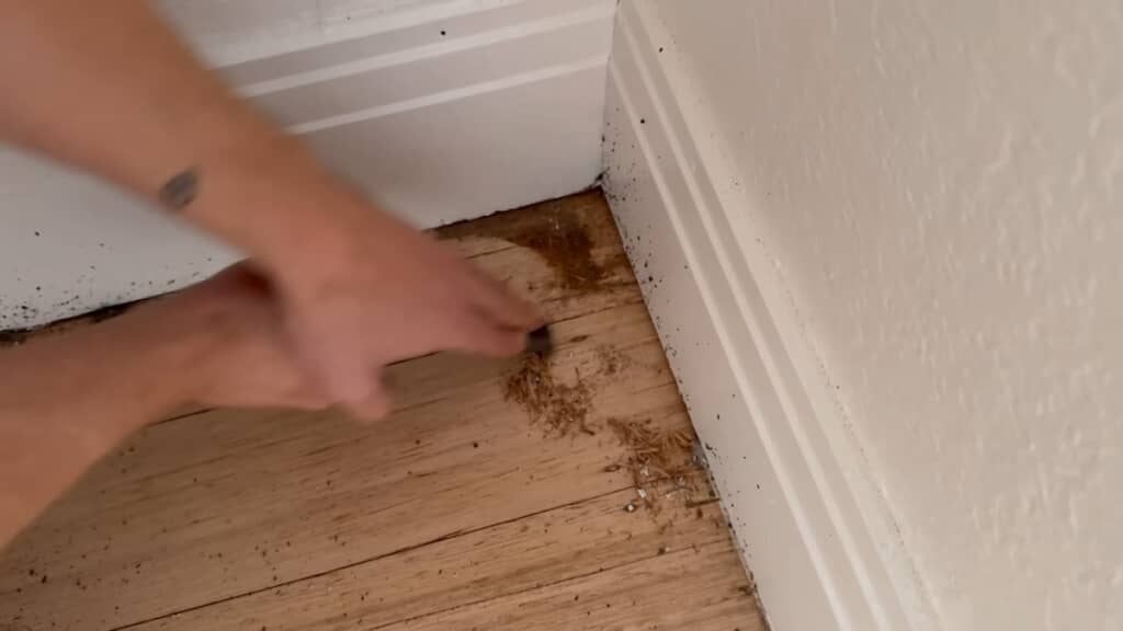 隅々までしっかり汚れを落として……