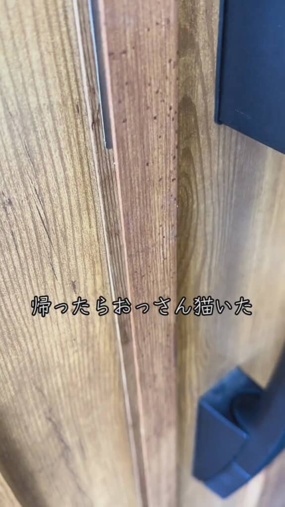 飼い主さんが帰宅したら……