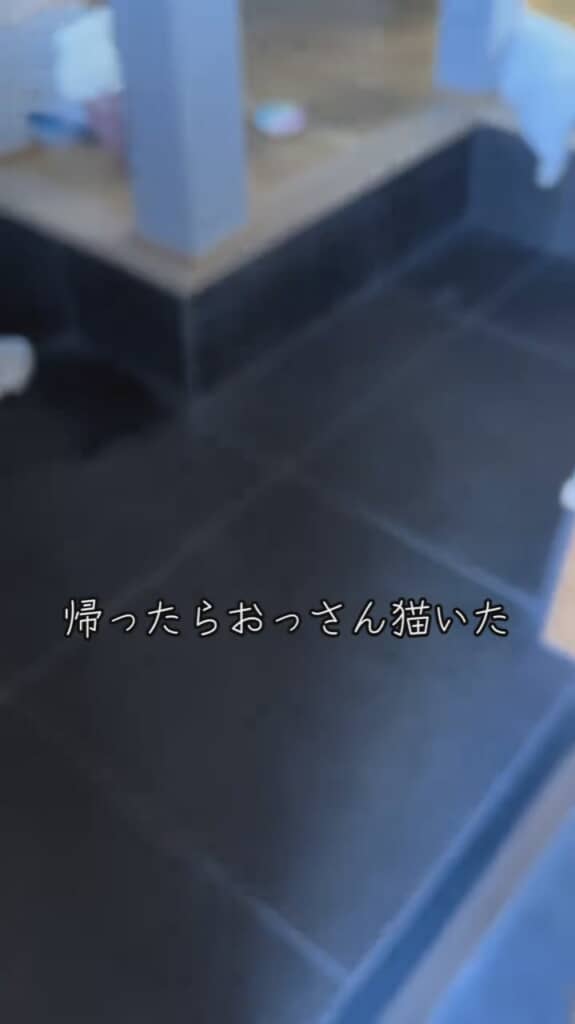 何やらふわふわとした足が見えますが……