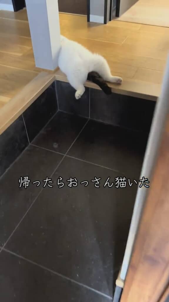 あらぬ姿のおいどんくんが！