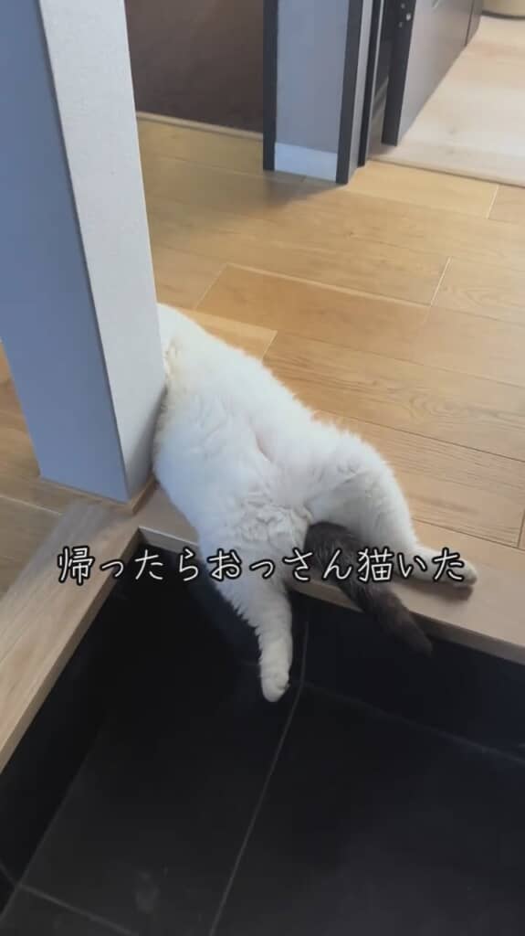 ここまで近づいても反応なし