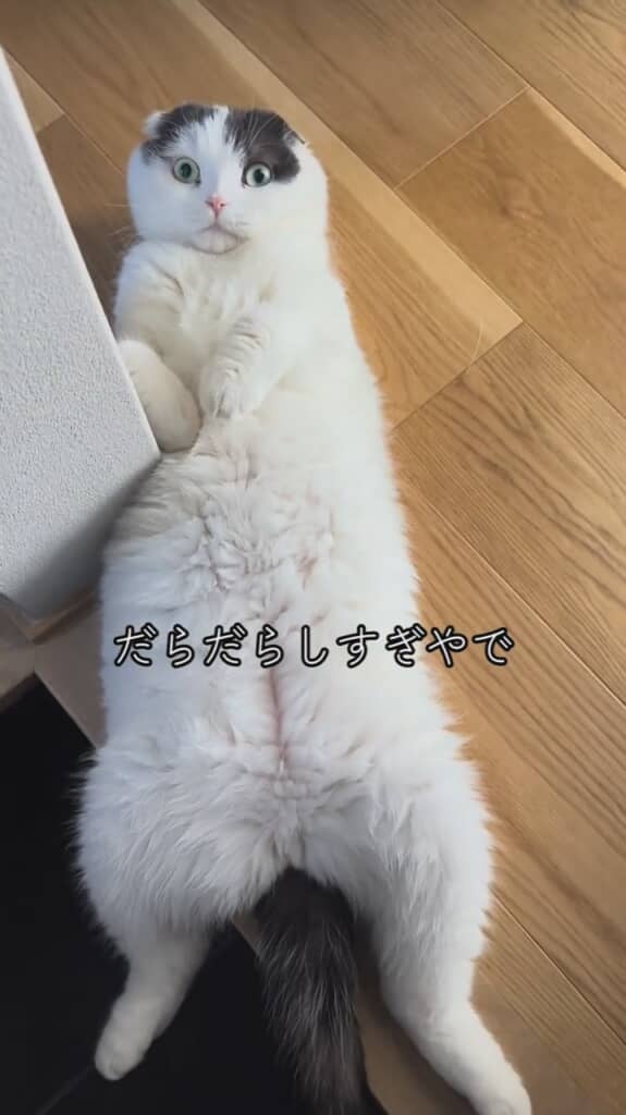 やっと顔を上げてくれるも……