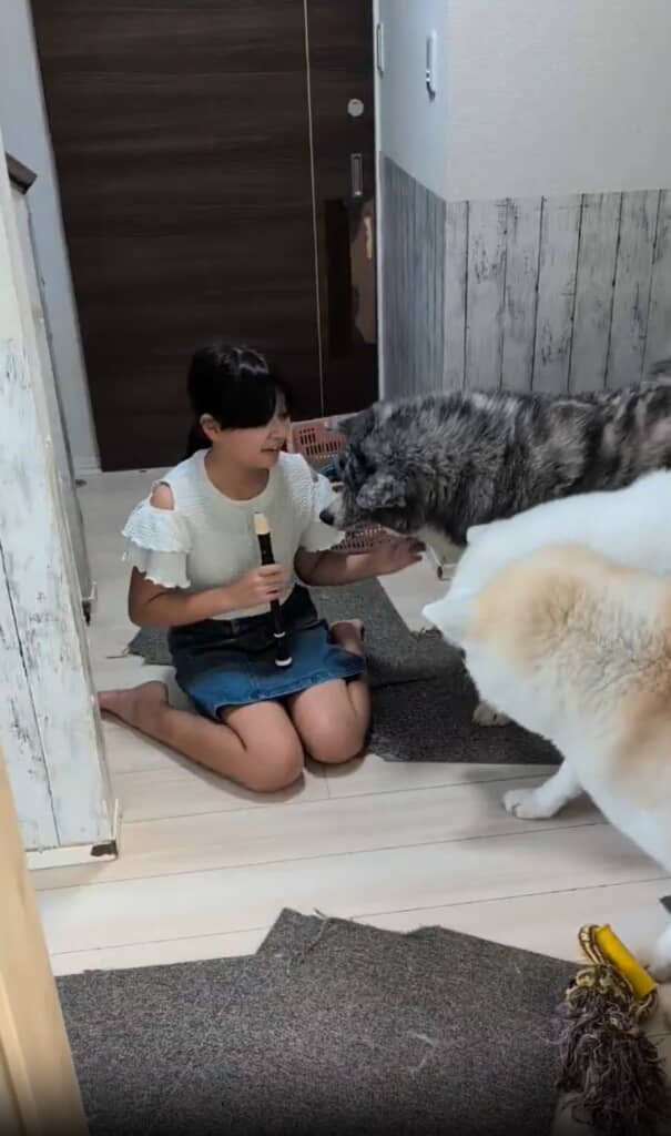 リコーダーの音に反応して……