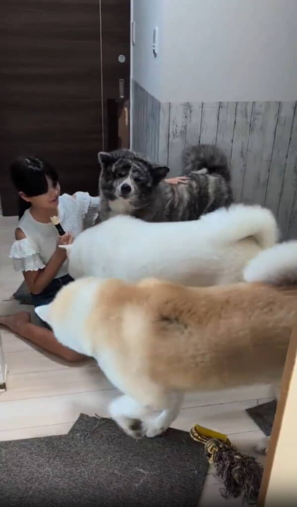 次女ちゃんの元へ大集合！