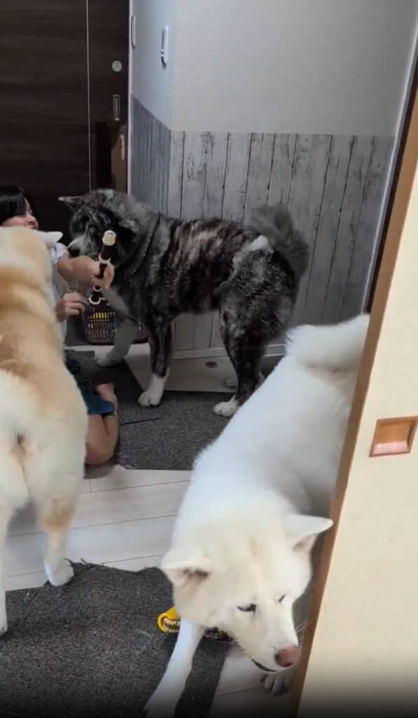 それでもリコーダーは離さない