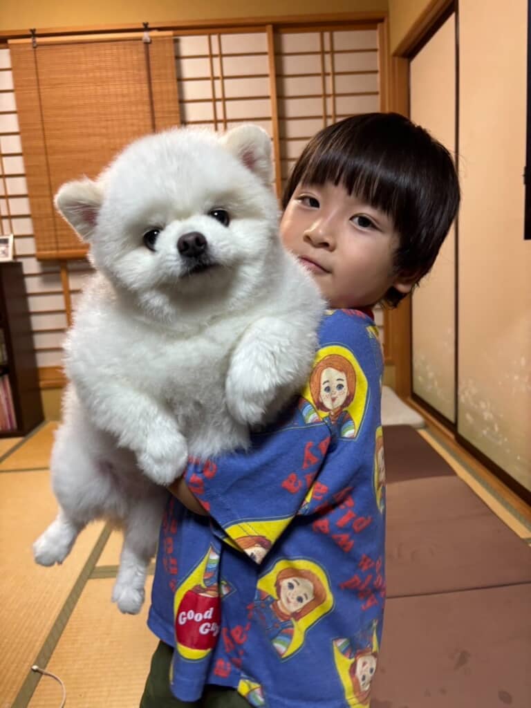 あまりにもシロクマちゃん