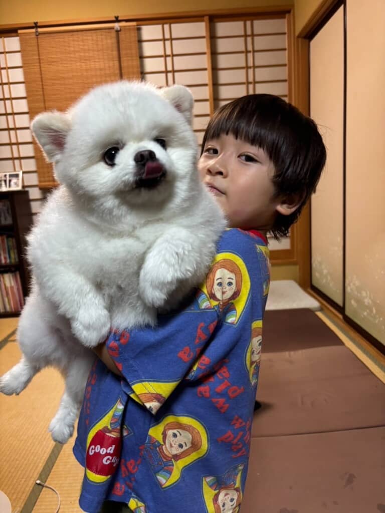 ポメラニアンのララちゃんでした！