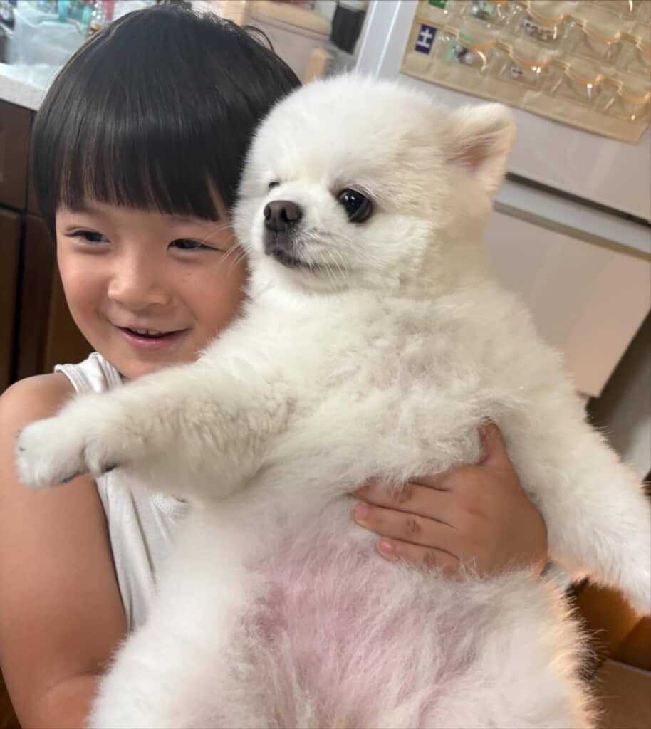 おなかはピンク