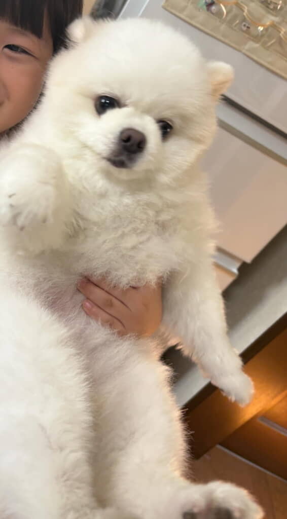 おめめはウルウル