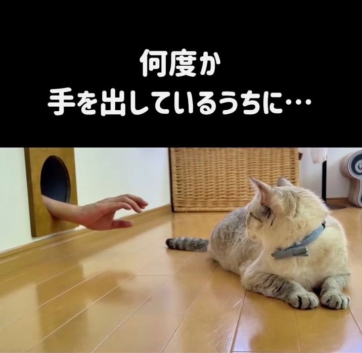 何度か遊んでいるうちに……