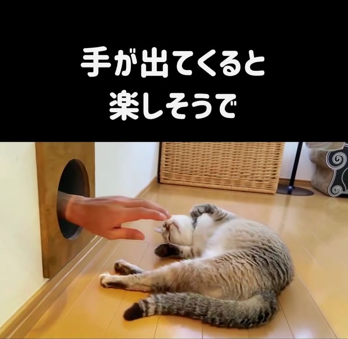 楽しくなっちゃった！