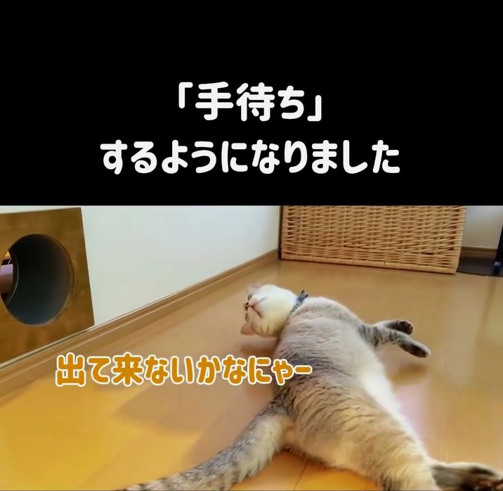 「手待ち」しています