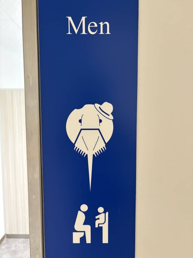 オスのカブトガニ用トイレ