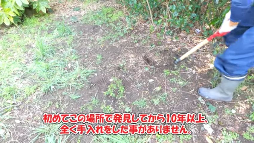 裏庭の地面をシャベルで掘り返す