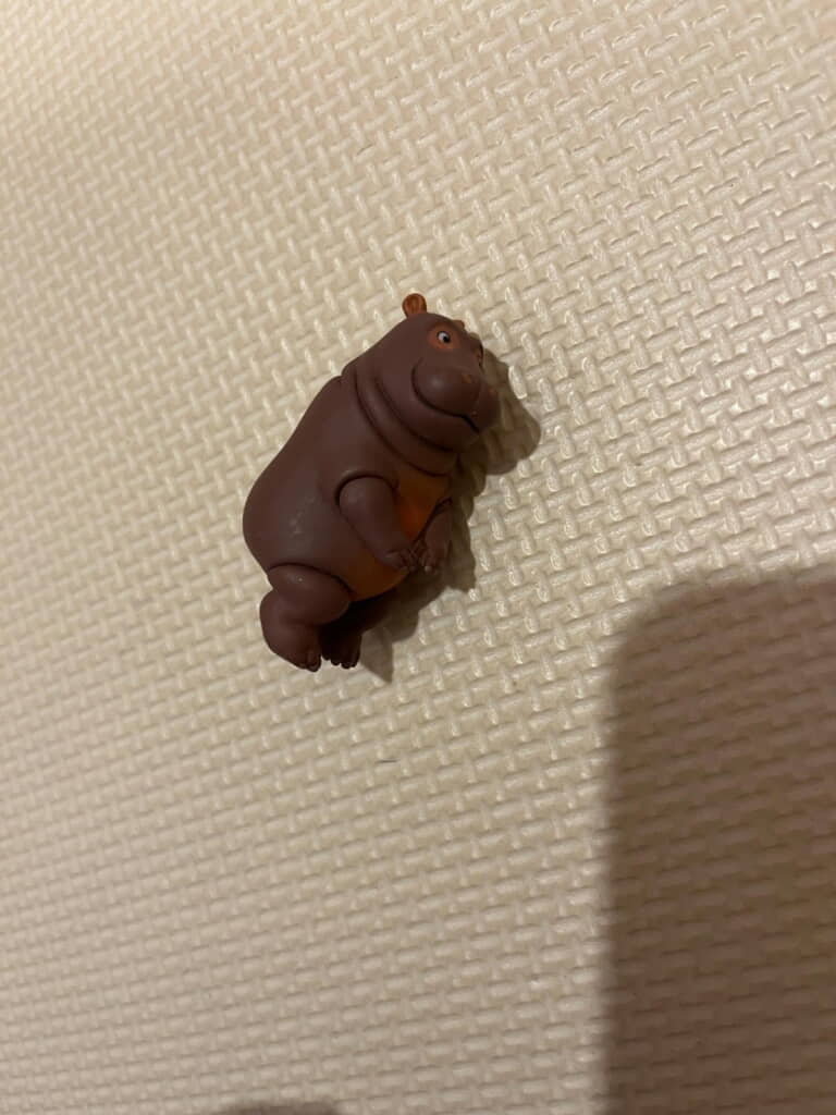 カバさんだー！