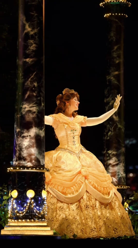 大人になり、憧れのプリンセスに！