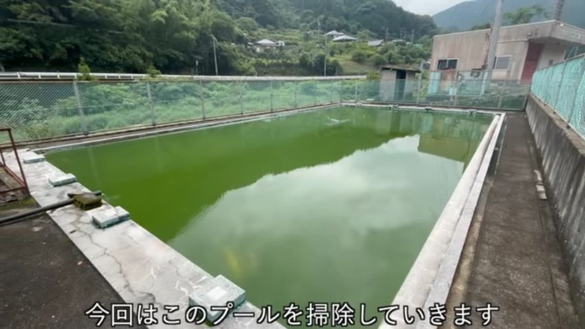 30年以上放置されたプールの水を抜くと……　「ビックリ」“大迫力の光景”に反響「こんなにたくさん」（1/3） | ライフスタイル ねとらぼ