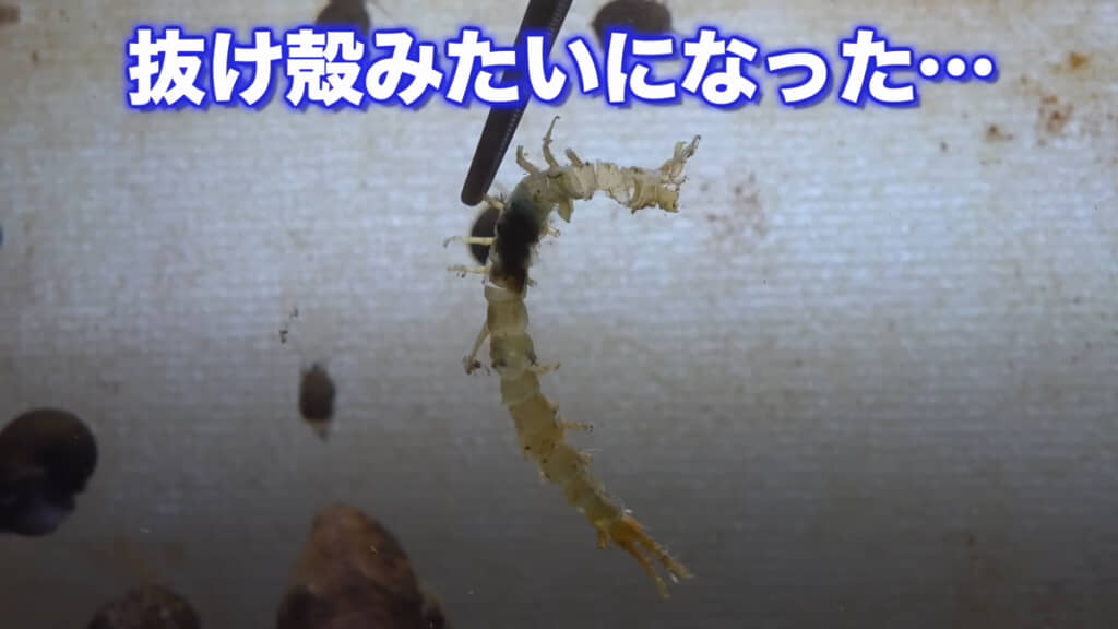 数時間前の姿が想像できない、抜け殻のような状態になっていました