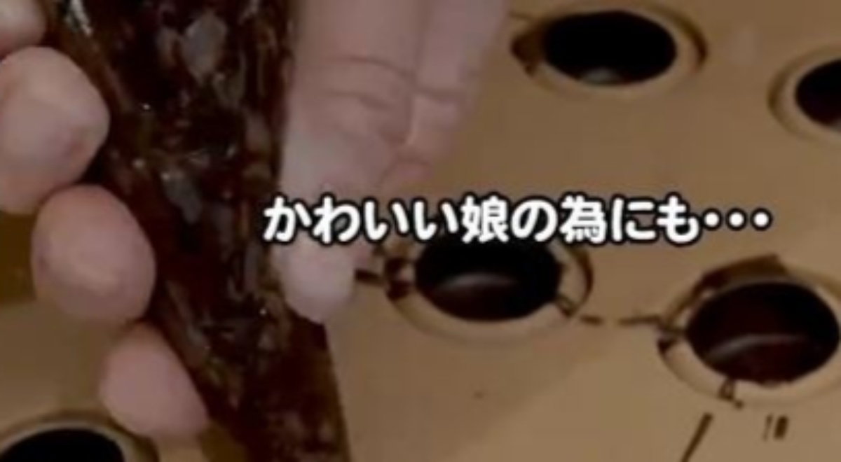 娘に「友達が来るから、おいしいものを作って」と言われた母が用意したのは……　70万回再生された力作に「すごい」（1/3） | ライフスタイル ねとらぼ