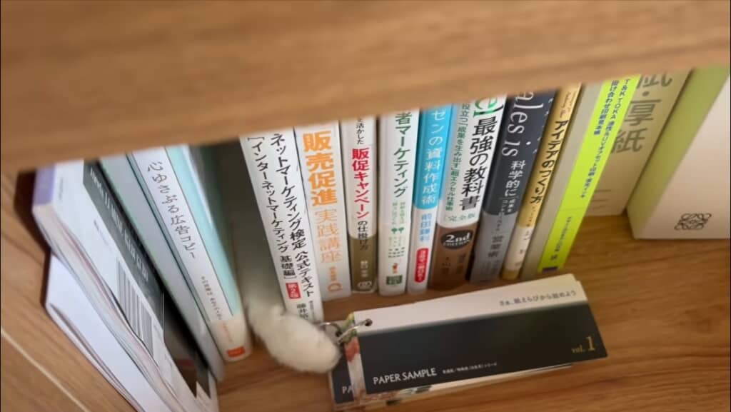 怪異の正体とは