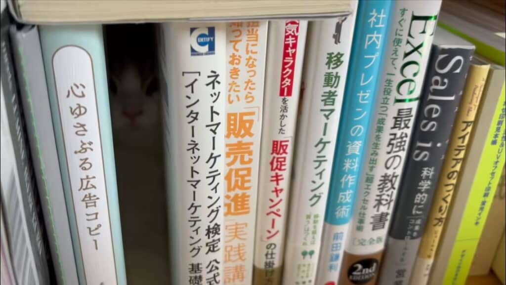 怪異の正体とは