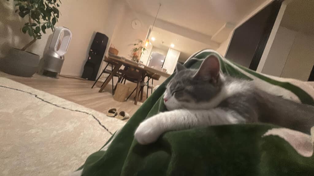 怪異の正体とは