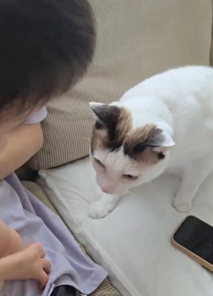 初めてのふれあいタイム