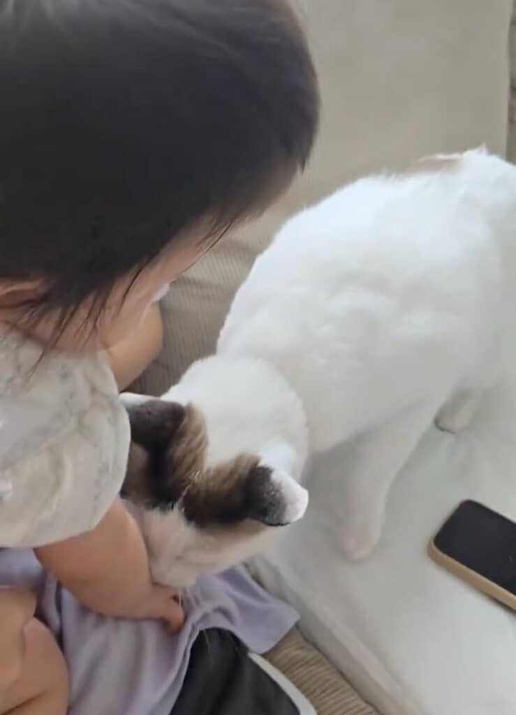 赤ちゃんの腕に優しく触れるつくねくん