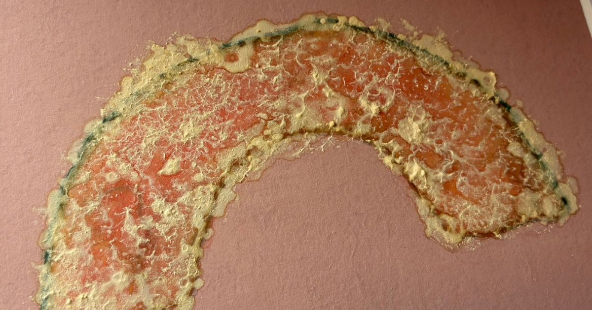 「カラッと揚がりました〜！」かぼちゃの天ぷらかと思ったら……　予想外の一品に反響「サクサク感！」「て、天才だ」（1/3） | ライフスタイル ねとらぼ