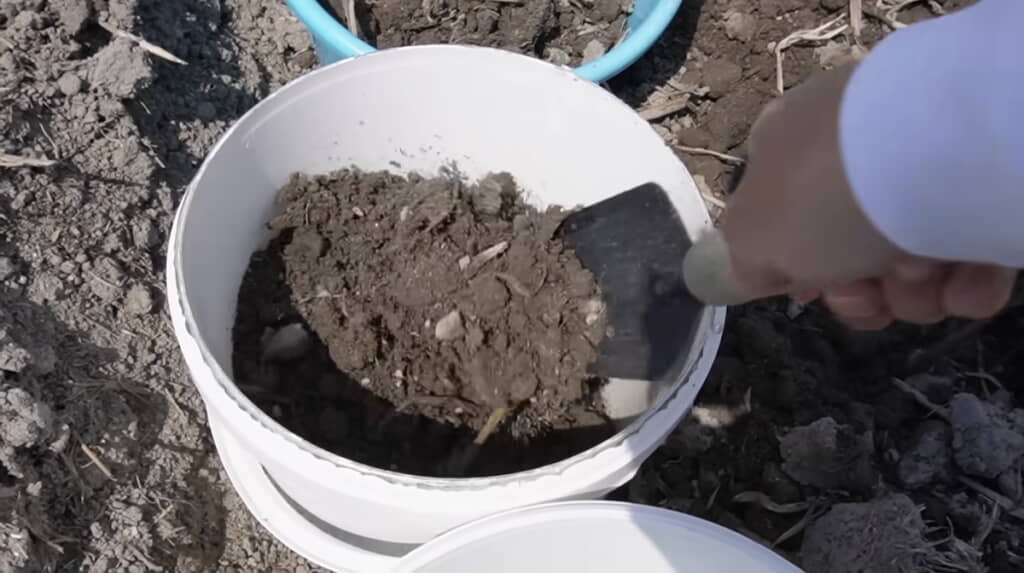 田んぼの土をわけてもらう
