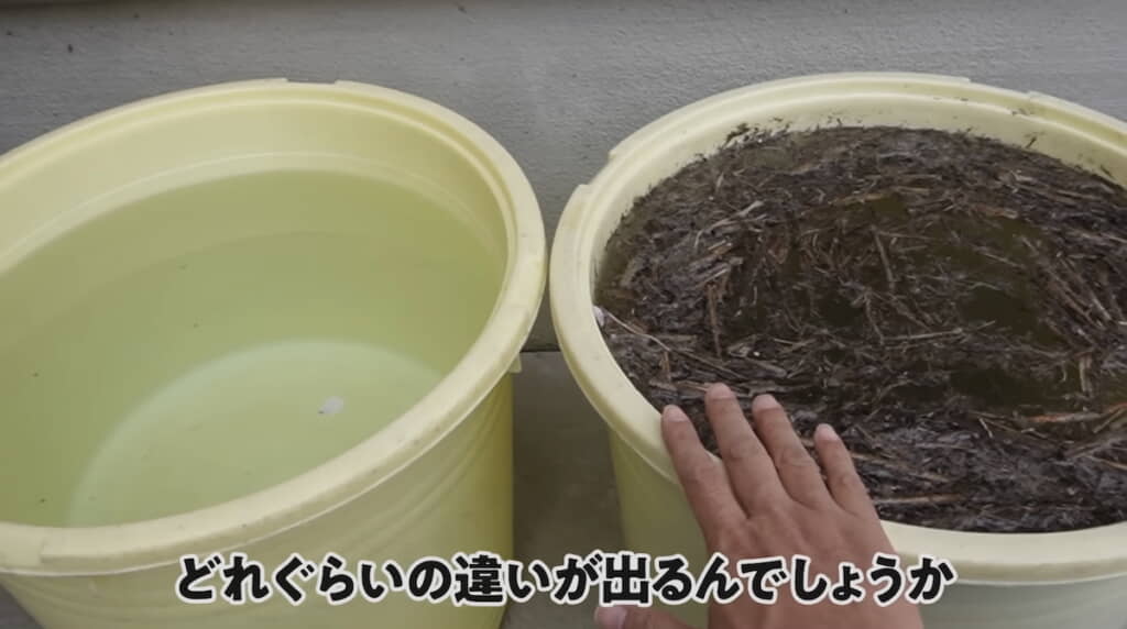 比較として水だけを張った樽も用意
