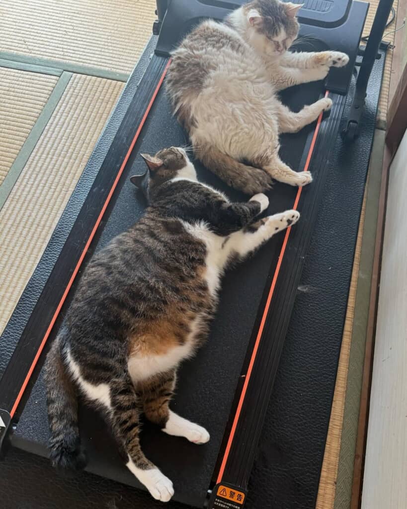 そこが寝心地いいのですか？