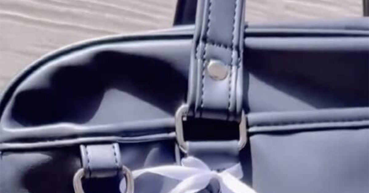 高校生の妹「スクールバッグに絵を描いて」→姉が応えたら……　衝撃の仕上がりに「ええええ」「こんなの唯一無二すぎて」（1/2） | 絵画 ねとらぼ