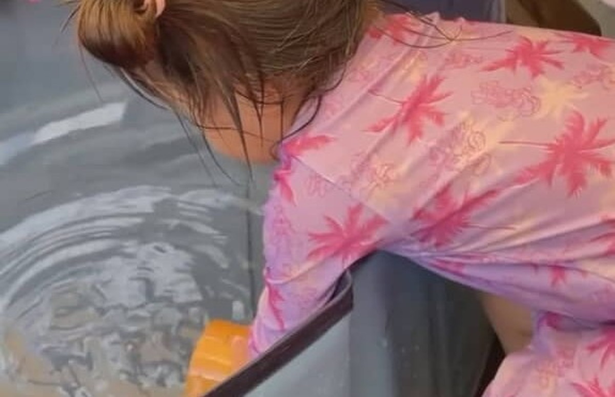 絶対に水をかけたい孫vs.防ぐ祖母　手に汗握る攻防戦が「声出して笑った」と150万再生　今どうしてる？現在を聞いた（1/3） | 教育・子育て ねとらぼ