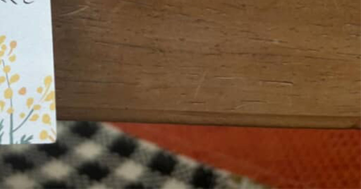 カフェで客が帰ったあと、テーブルを片付けていたら……「うひゃー」　店主が泣いた“まさかの光景”に反響（1/2） | ライフスタイル ねとらぼ