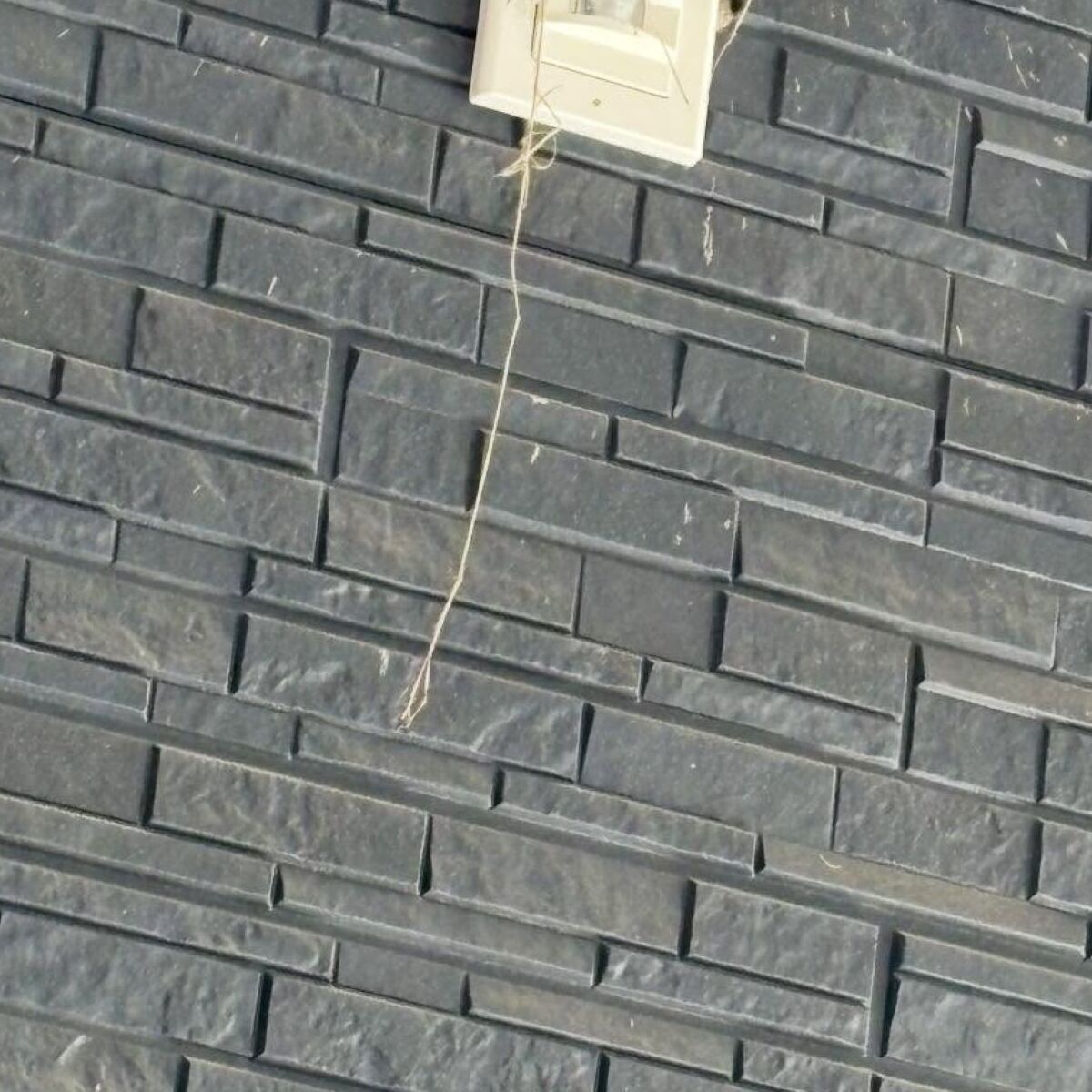 駐車場のセンサーライトが点かない→車から降りて確認すると……　思わぬ原因に「なんでこの場所？」「けしからんヤツらですね」 | ライフスタイル ねとらぼ