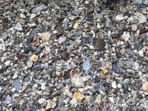 ある日、庭に目をやると衝撃の光景が……　「すごい！」居るはずのない“まさかの植物”に「神様の贈り物」（1/5） | ライフスタイル ねとらぼ