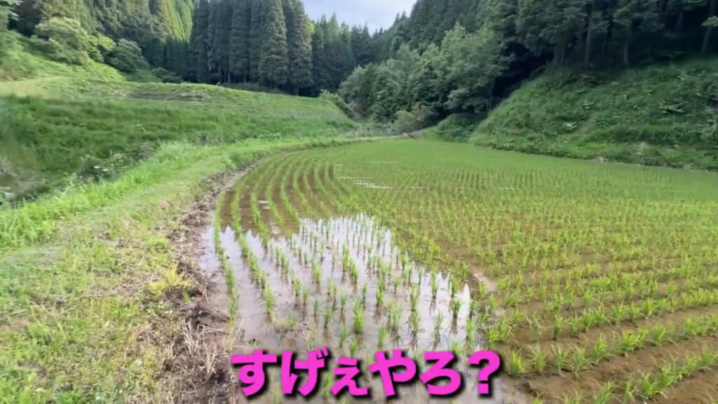 孫に「すげぇ～」と言われてうれしそうな祖母です