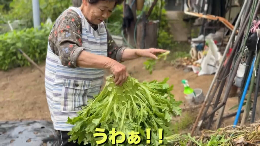 レタスの成長ぶりにじわじわきて2人で笑い合うシーンも