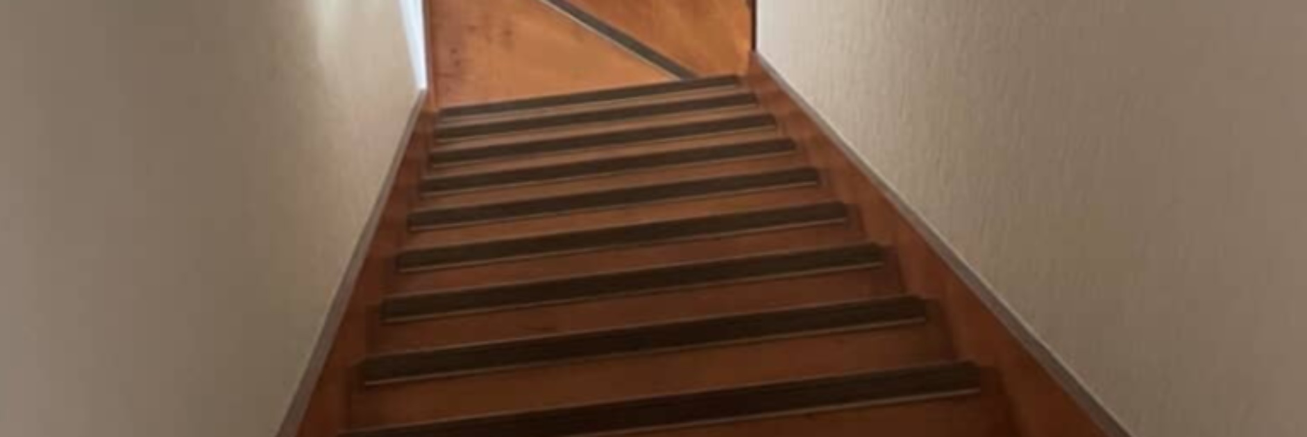 ワンコが珍しく階段で粗相、掃除中の飼い主がふと視線をあげると……　まさかの光景に「うちのいぬもこれする」「ほぼ見えないｗ」（1/3） | 犬 ねとらぼ