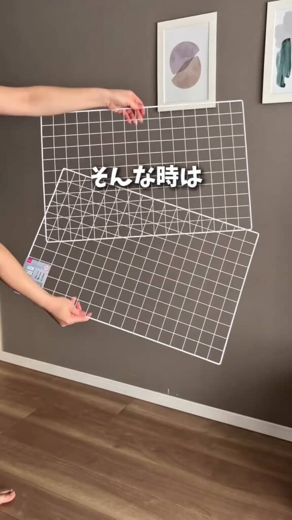 ダイソーのワイヤーネットを2枚