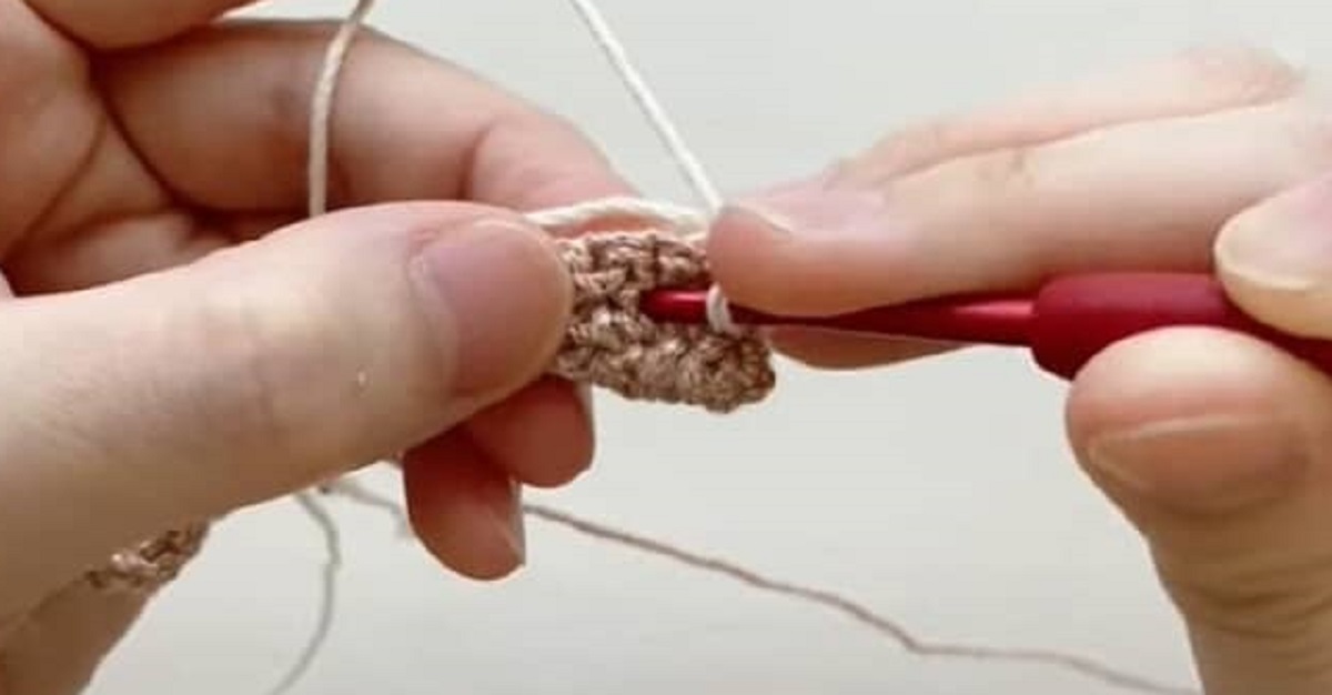 かぎ針で毛糸を“つぶつぶ”編んでいくと……　大人かわいい便利アイテムに「この模様可愛すぎ」「応用も出来そう」（1/3） | ライフスタイル ねとらぼ