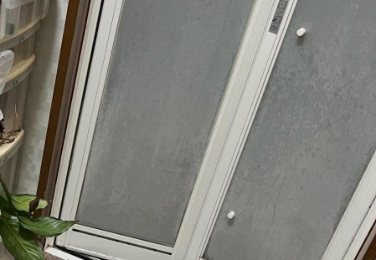 脱衣所に観葉植物を飾ってみると……「そこに引っ掛けるセンス」→見れば絶句のまさかの光景に「アグレッシブ」「大胆ですばらしい」（1/3） | ライフスタイル ねとらぼ